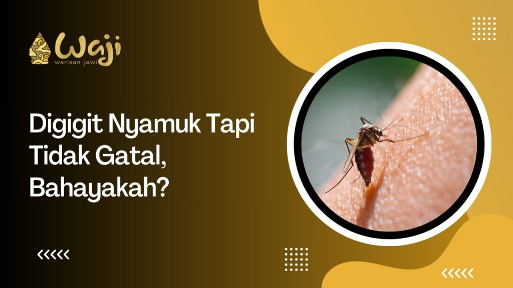 bintik merah gigitan nyamuk tapi tidak gatal