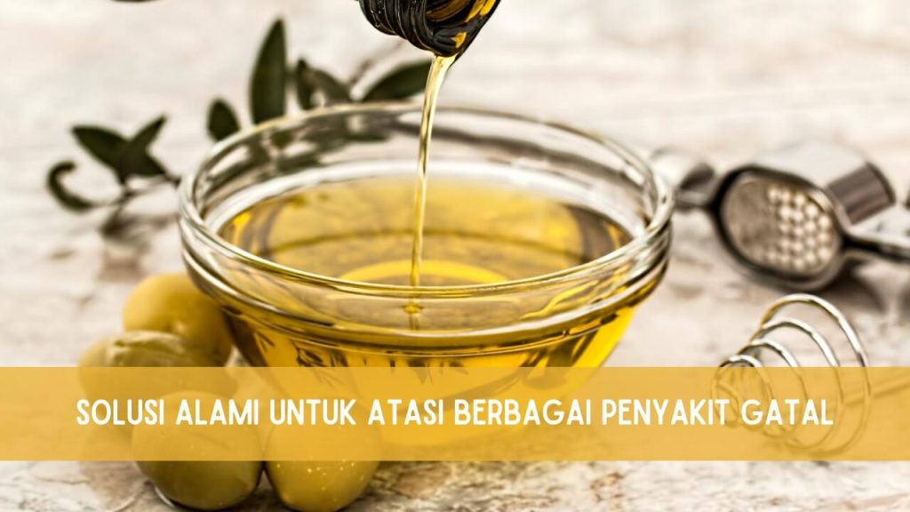 manfaat minyak zaitun untuk kulit gatal