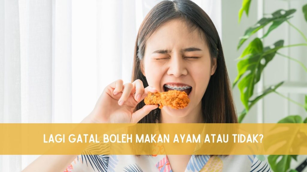 apakah gatal gatal boleh makan ayam