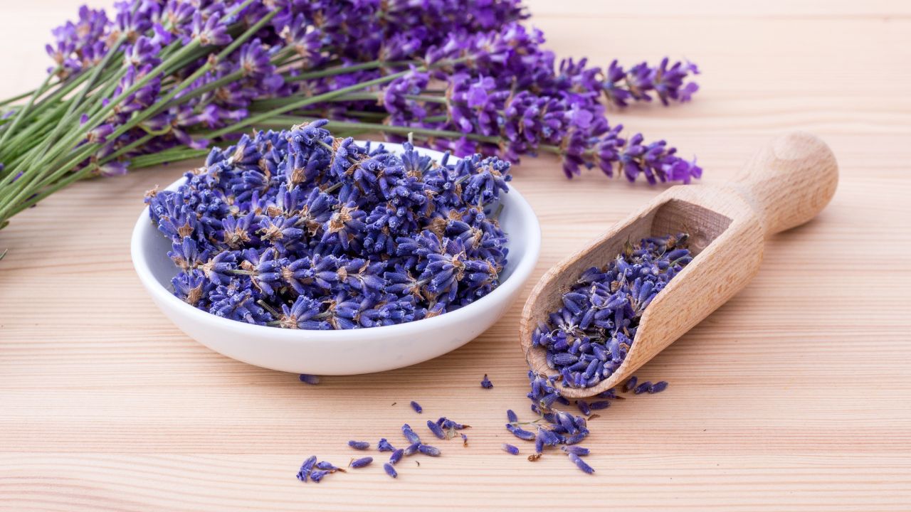 Manfaat Bunga Lavender