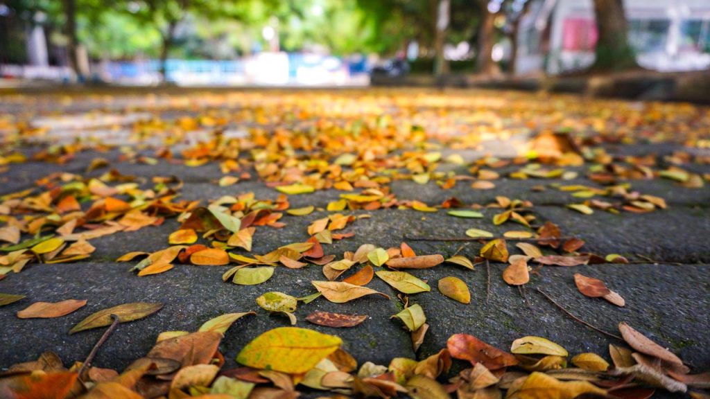 musim pancaroba adalah