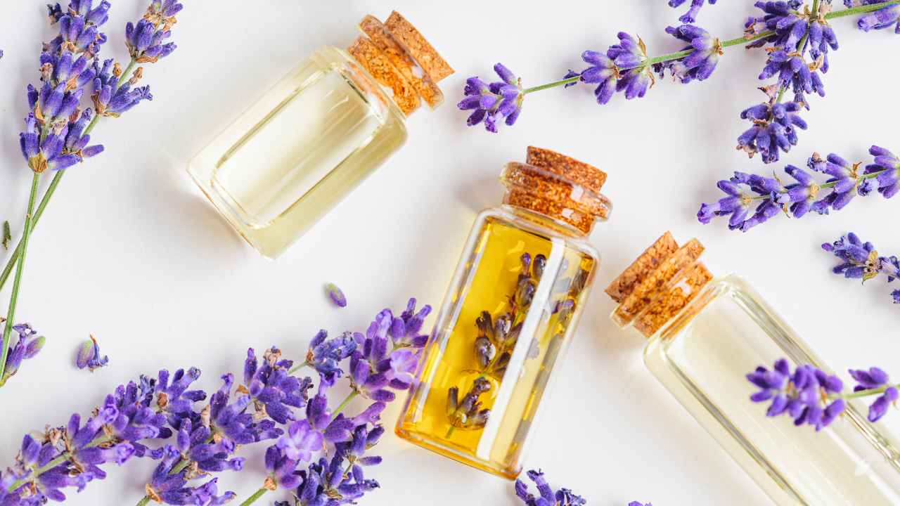 rekomendasi essential oil untuk bayi