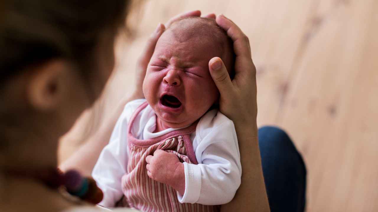 cara menyendawakan bayi