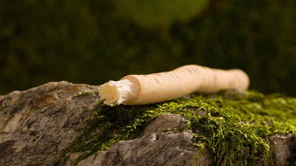 Manfaat Siwak untuk Gigi