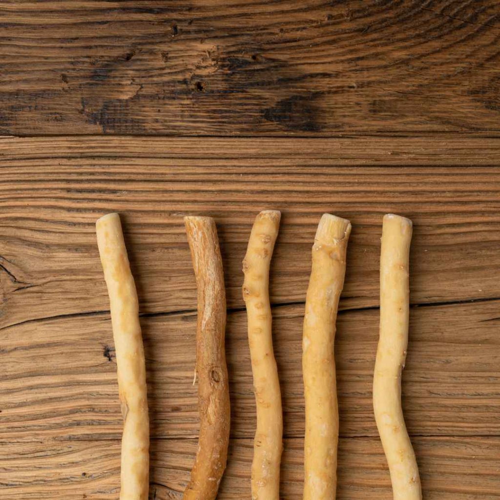 pasta gigi siwak
