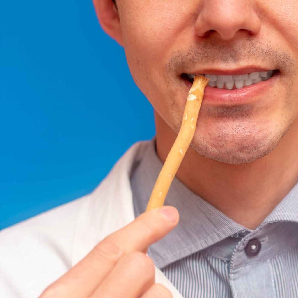 pasta gigi siwak