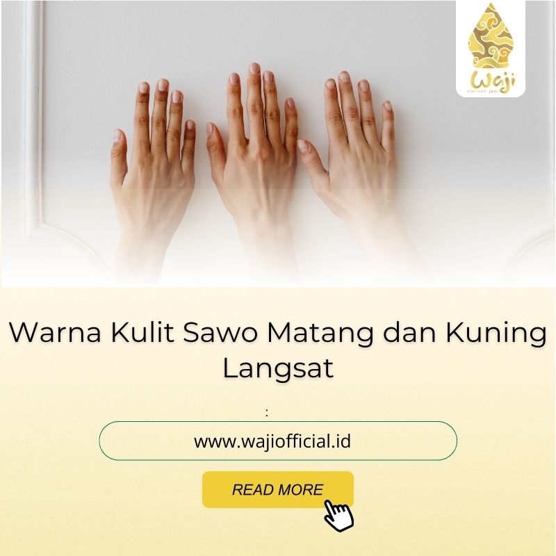 warna kulit sawo matang dan kuning langsat